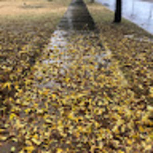 Meet your Posher, Nina